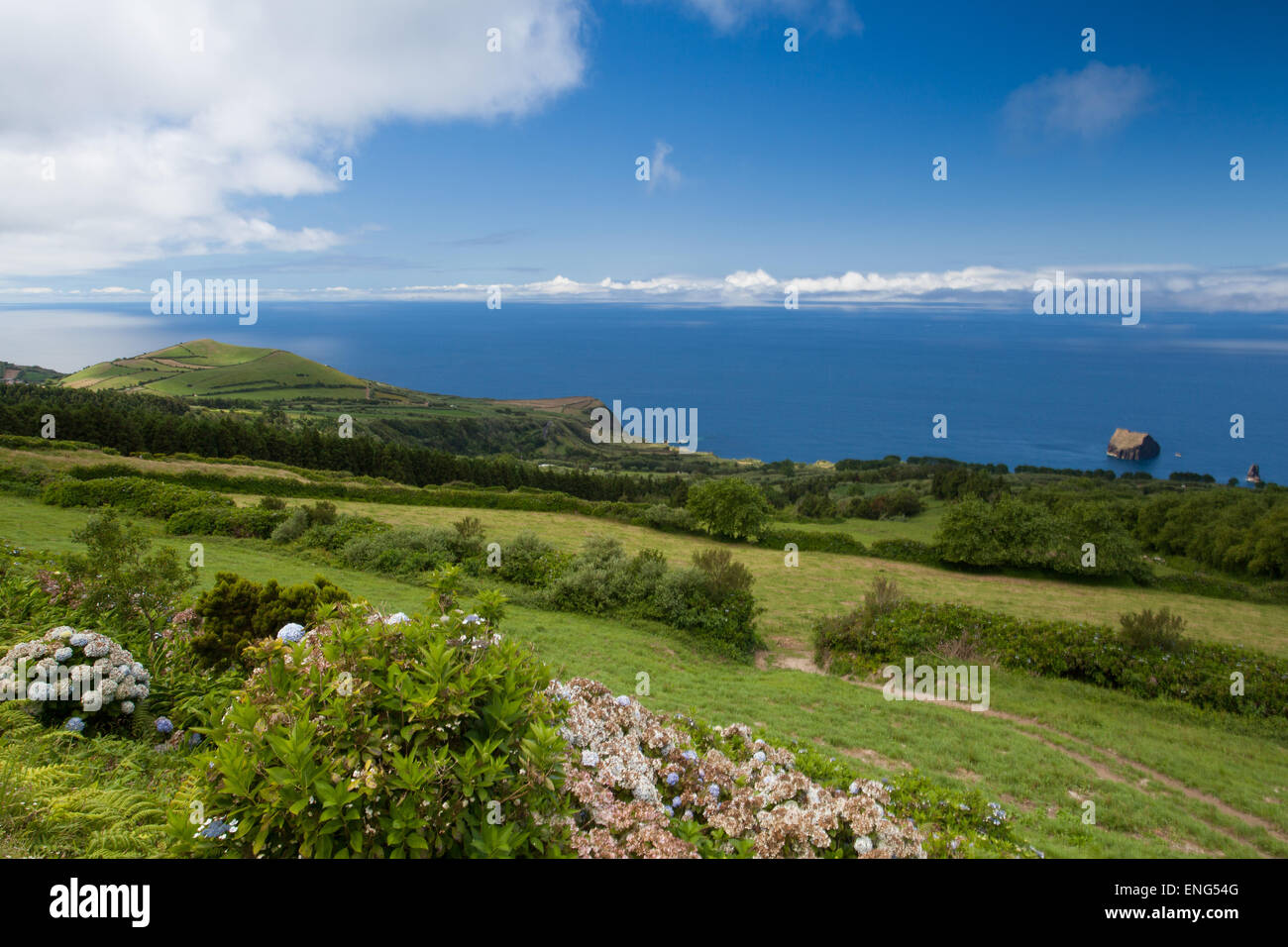 Tipico paesaggio vulcanico sull'isola Terceira, Azzorre Foto Stock