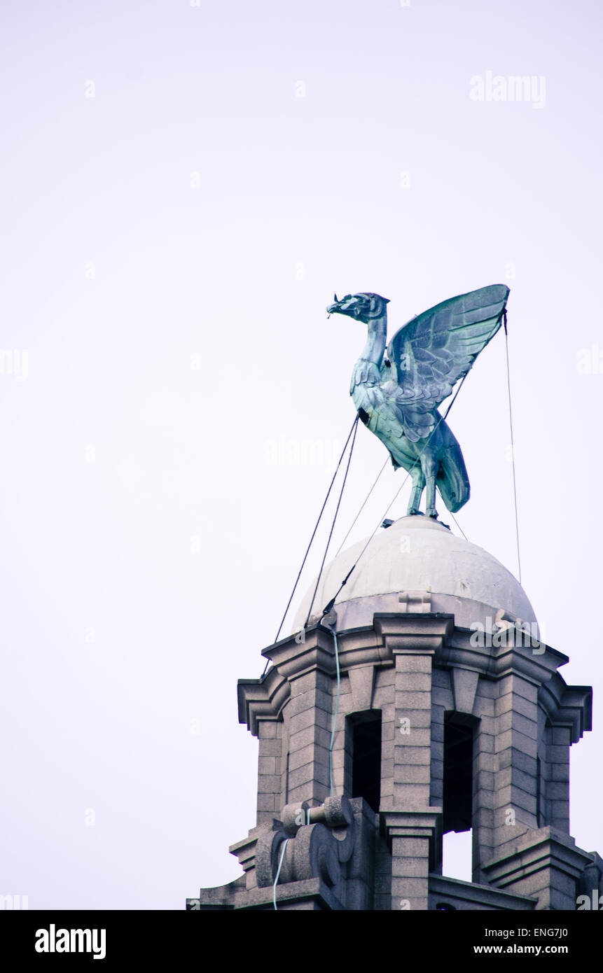 Gli uccelli di fegato, Liver Building, Liverpool, Merseyside, fiume Mersey, Foto Stock