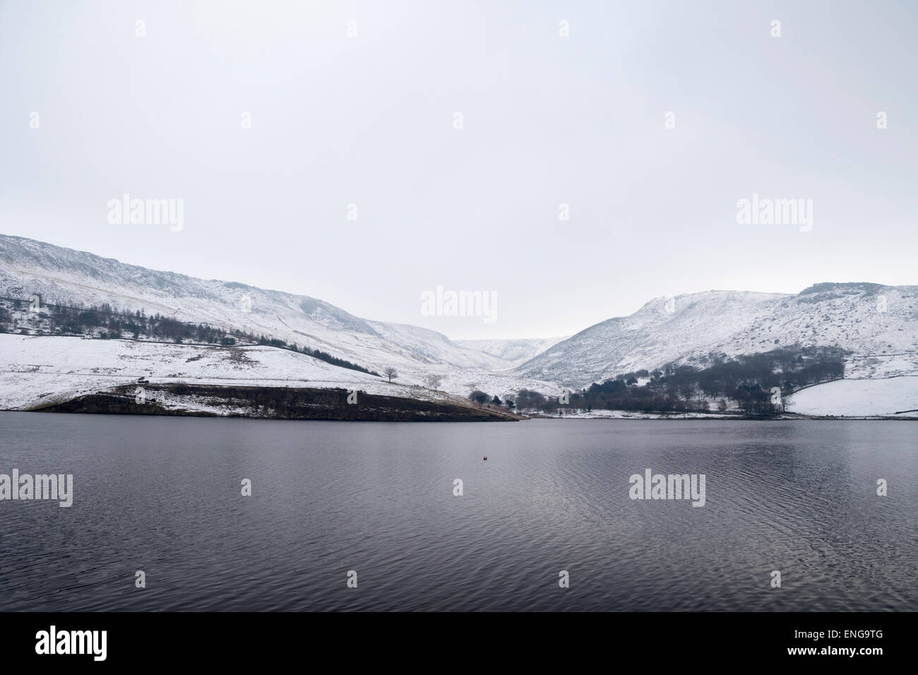 Colomba pietra nel Parco Nazionale di Peak District Foto Stock