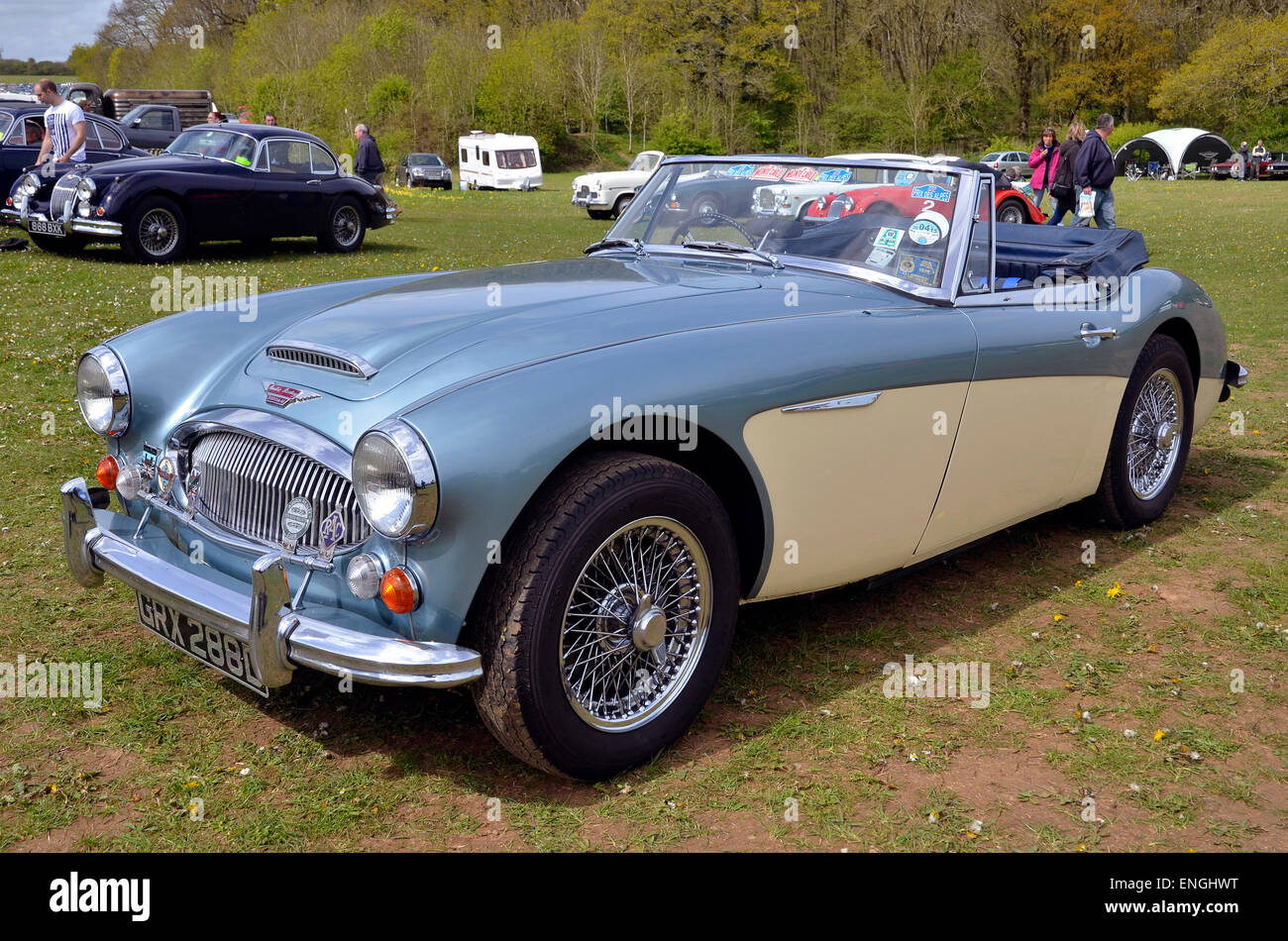 Un elegante e immacolata Austin Healey 3000 Mk III auto sportiva, un vero e proprio degli anni sessanta veicolo classico Foto Stock