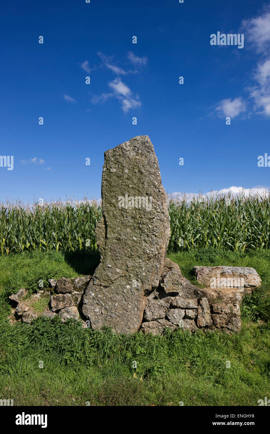 Il menhir / Pietra permanente Danthin vicino a Wéris, Ardenne belghe, Belgio Foto Stock