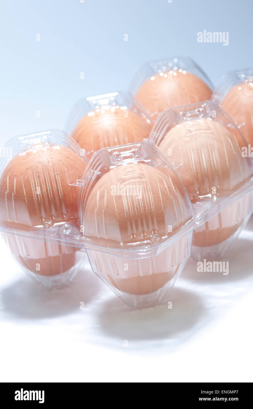 Uova in cartone in plastica Foto Stock