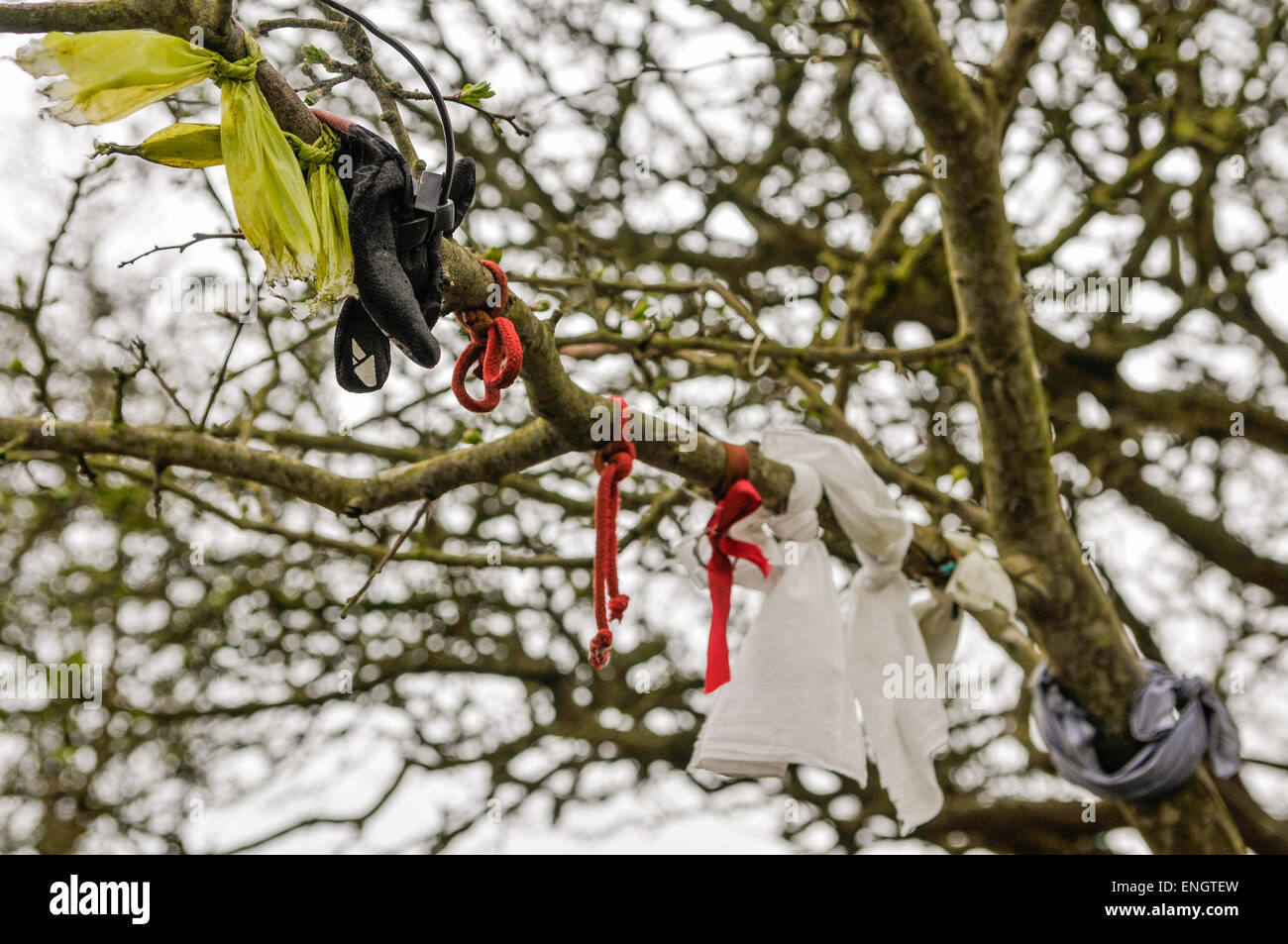 Nastri e fiori legato attorno al ramo di un albero di fata in un pozzo santo Foto Stock