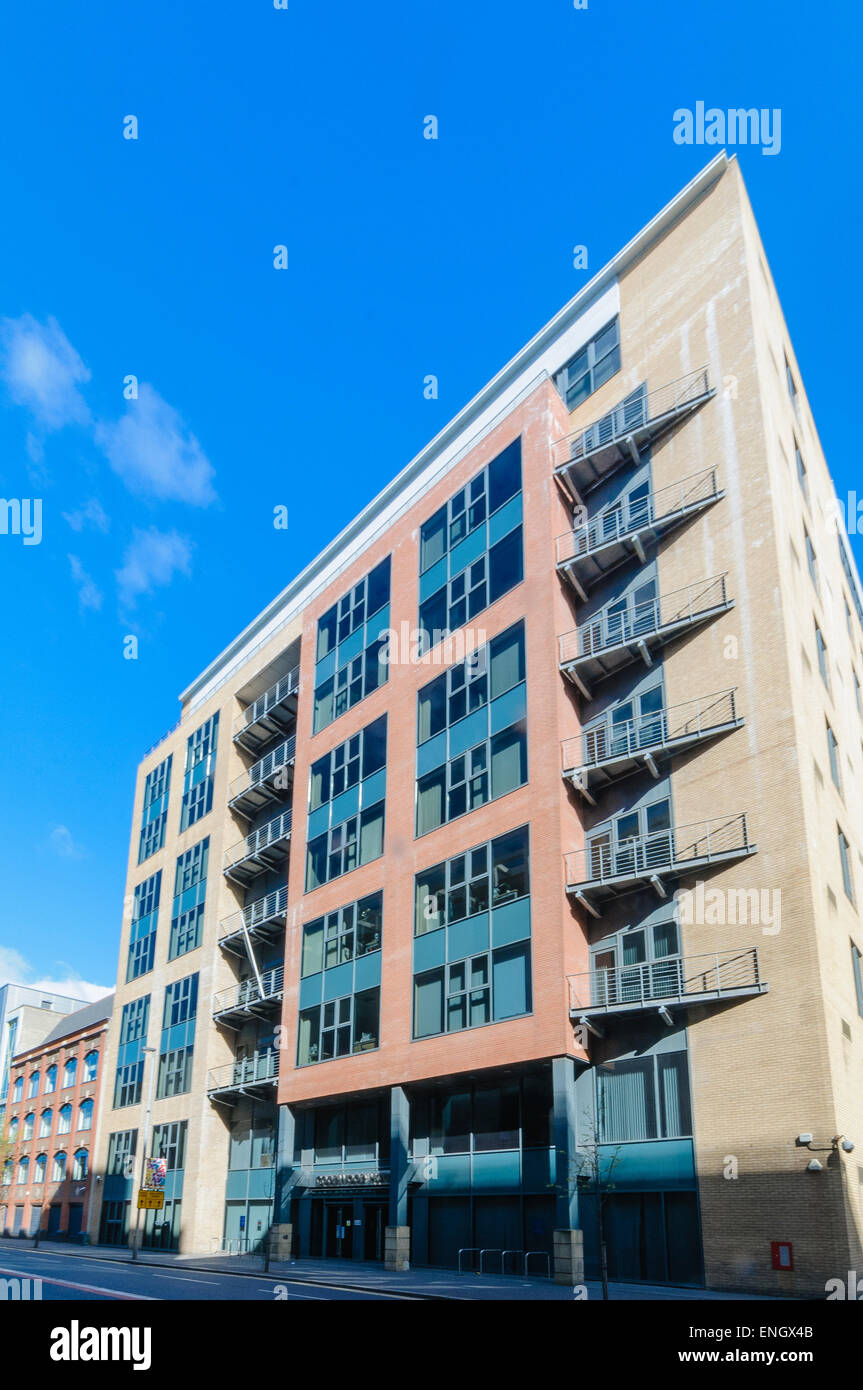 Goodwood House, Belfast, ufficio per il dipartimento dell'ambiente Foto Stock