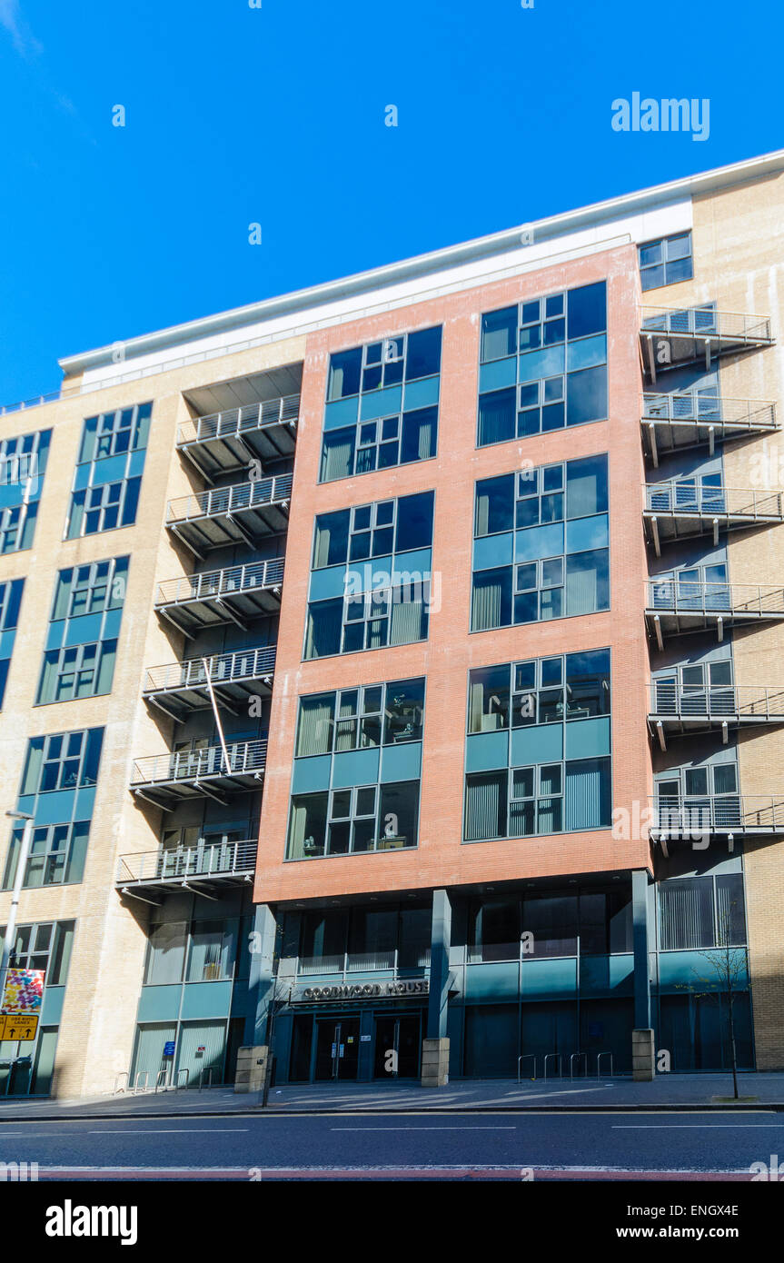 Goodwood House, Belfast, ufficio per il dipartimento dell'ambiente Foto Stock