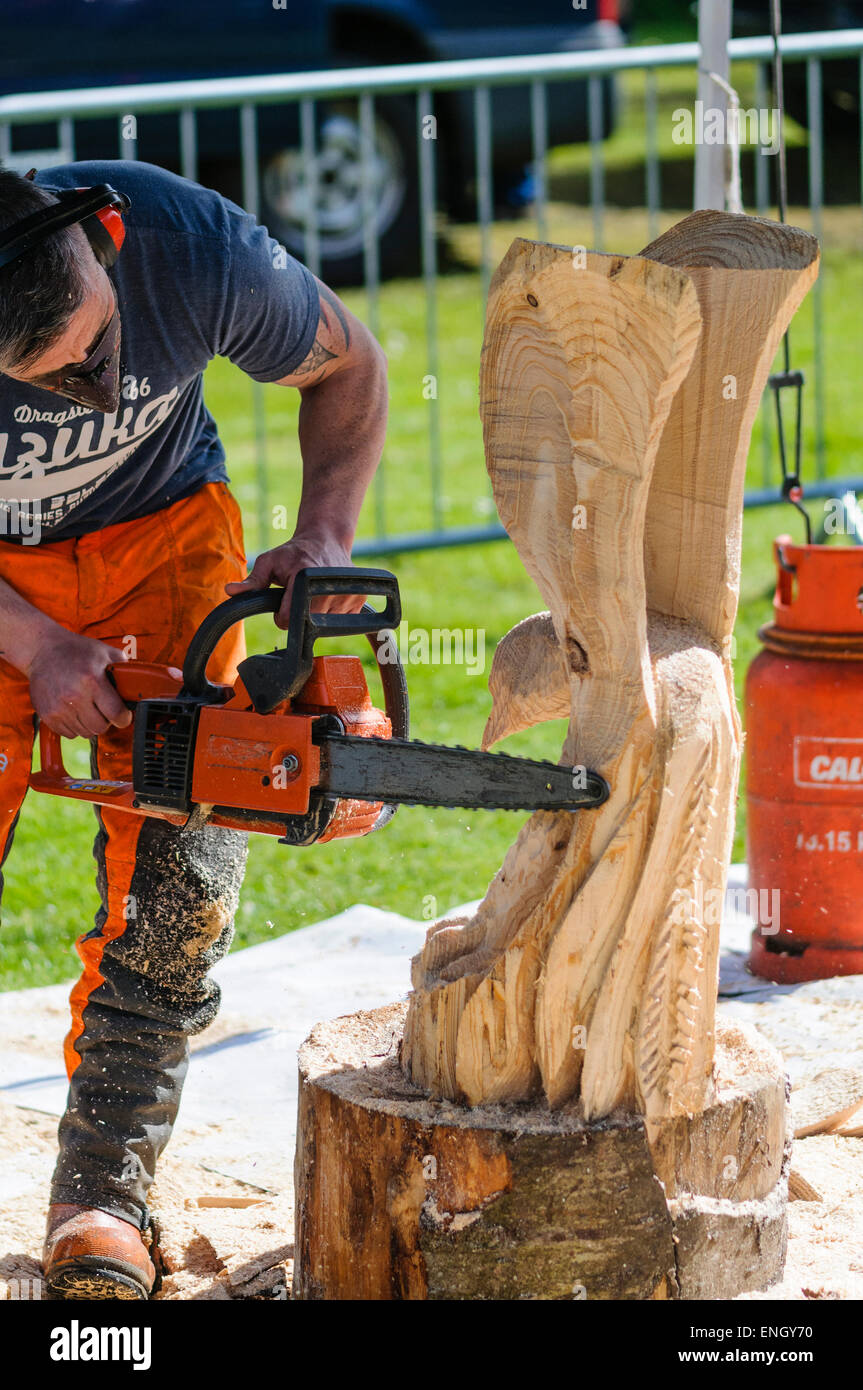 Un uomo utilizza una motosega per scolpire una grande aquila da un tronco  di albero Foto stock - Alamy
