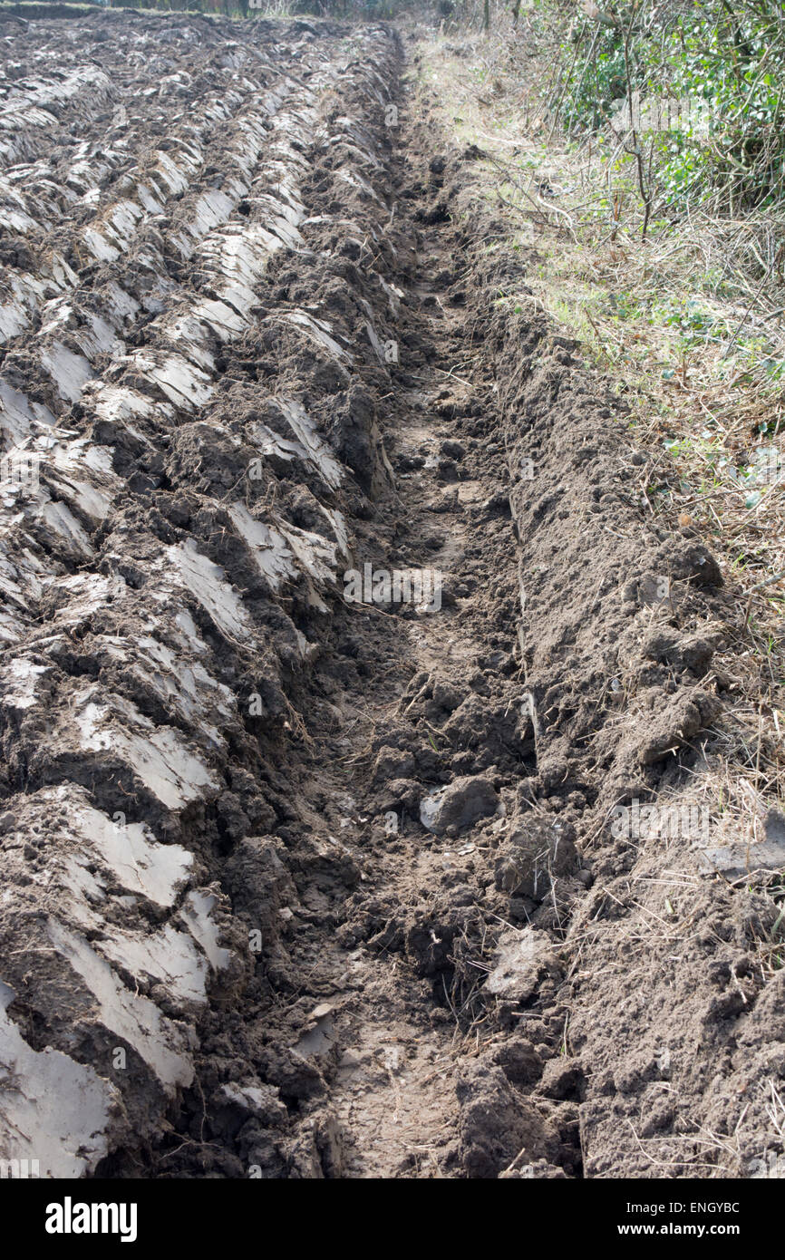 Bordo di un campo arato, argilla del suolo Foto Stock