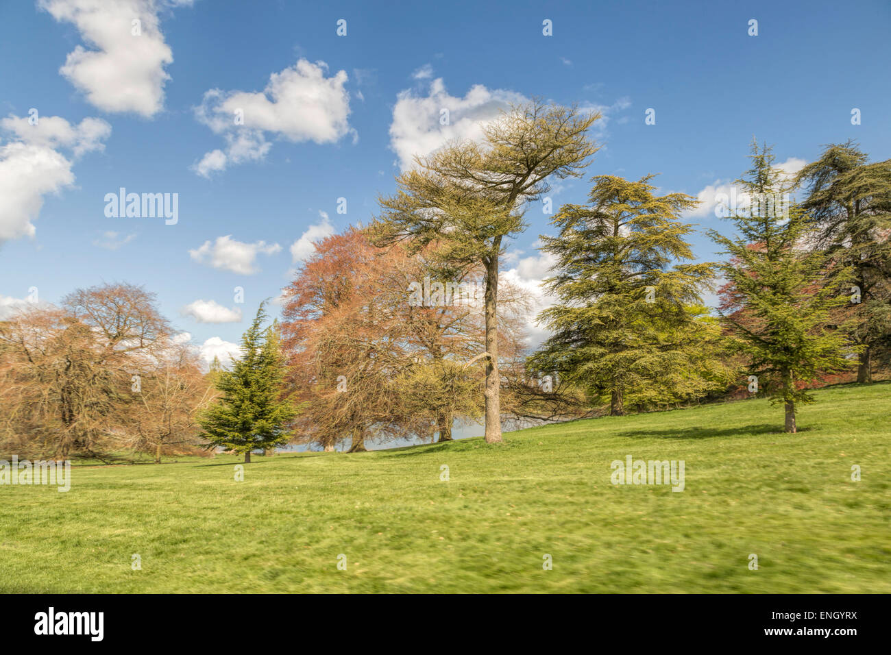 Vista panoramica sulla piscina Queen, parte del lago nel parco, al Palazzo di Blenheim, Woodstock, Oxfordshire, Inghilterra, Regno Unito. Foto Stock