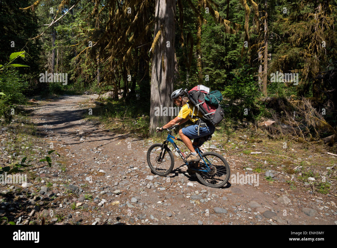 WA10617-00...WASHINGTON - Discesa del vecchio carbone River Road in mountain bike nel Parco nazionaledel Monte Rainier. Foto Stock