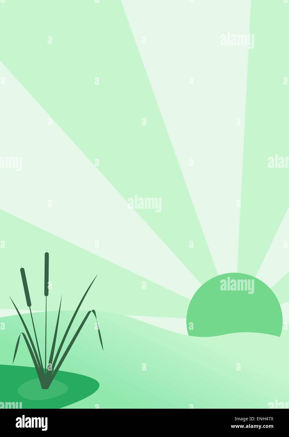 Canne al lago al tramonto, in sfumature di verde, vettore Illustrazione Vettoriale