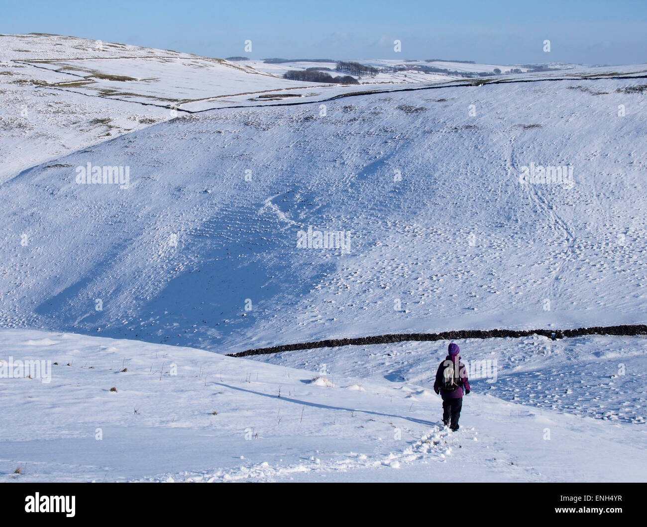 Passeggiate invernali, Wetton colline, Peak District Foto Stock