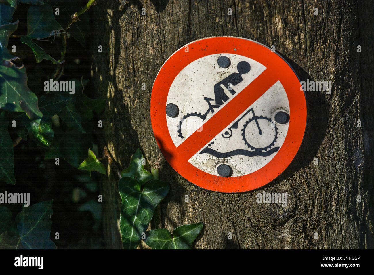 Cartello di divieto di ciclismo / nessun pittogramma ciclistico - su un sentiero vicino a Millbrook, Plymouth. Infrastrutture ciclistiche Regno Unito. Metafora 'No al trasporto verde.. Foto Stock