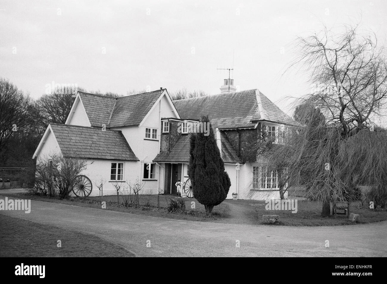 Uno di Freddie Laker's case - Il prigioniero Woodcott su Epsom Downs, raffigurata sul giorno che Laker Airways è andato busto. 5 febbraio 1982. Foto Stock