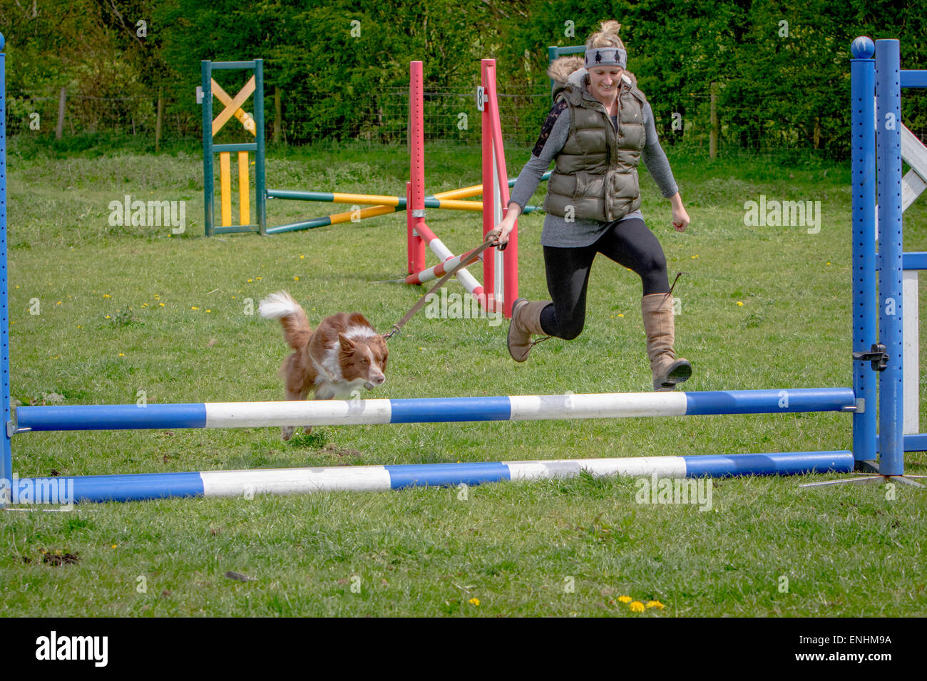 I cani e i loro proprietari prendere parte in un Alvechurch Riding Club Show con la speranza che le loro competenze può aiutarli a vincere premi Foto Stock