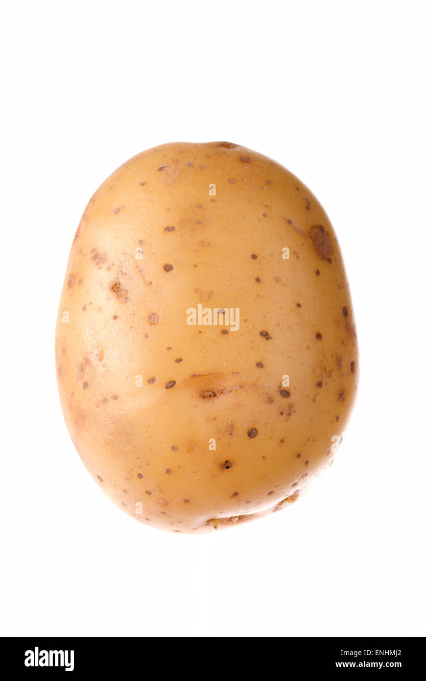 Una patata grezza su sfondo bianco vicino. Foto Stock