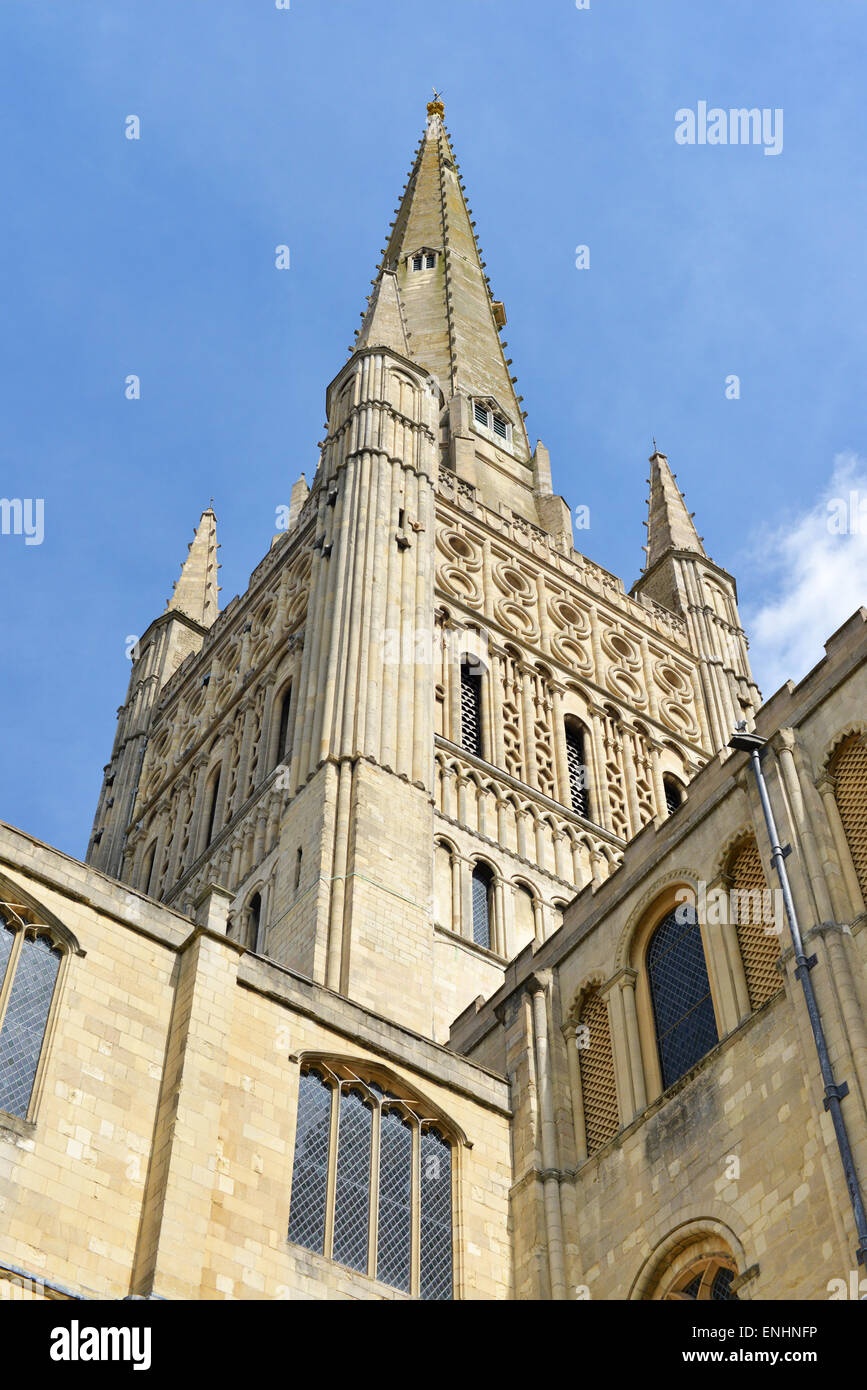 Norwich Cathedral in Norfolk, Regno Unito. Foto Stock