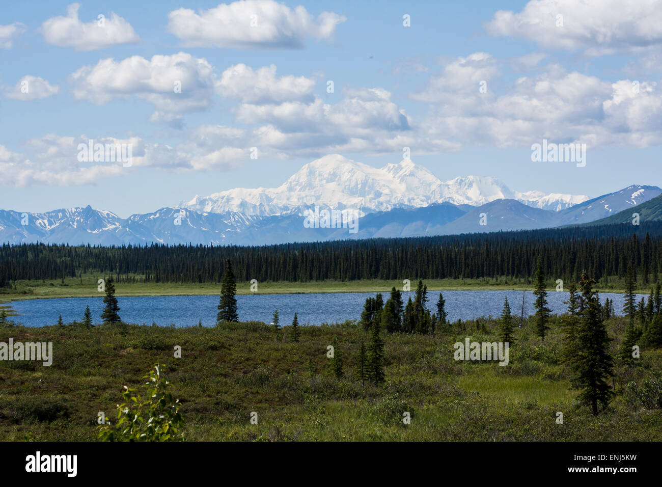 Il pittoresco Lago alla base del Monte di Denali Foto Stock