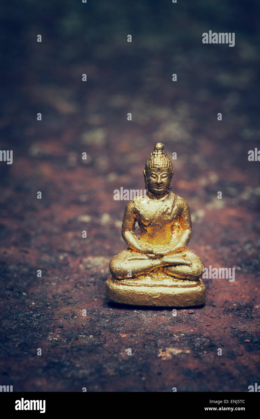 Piccola statua del Buddha su un metallo arrugginito textured background. Vintage filtro applicato Foto Stock