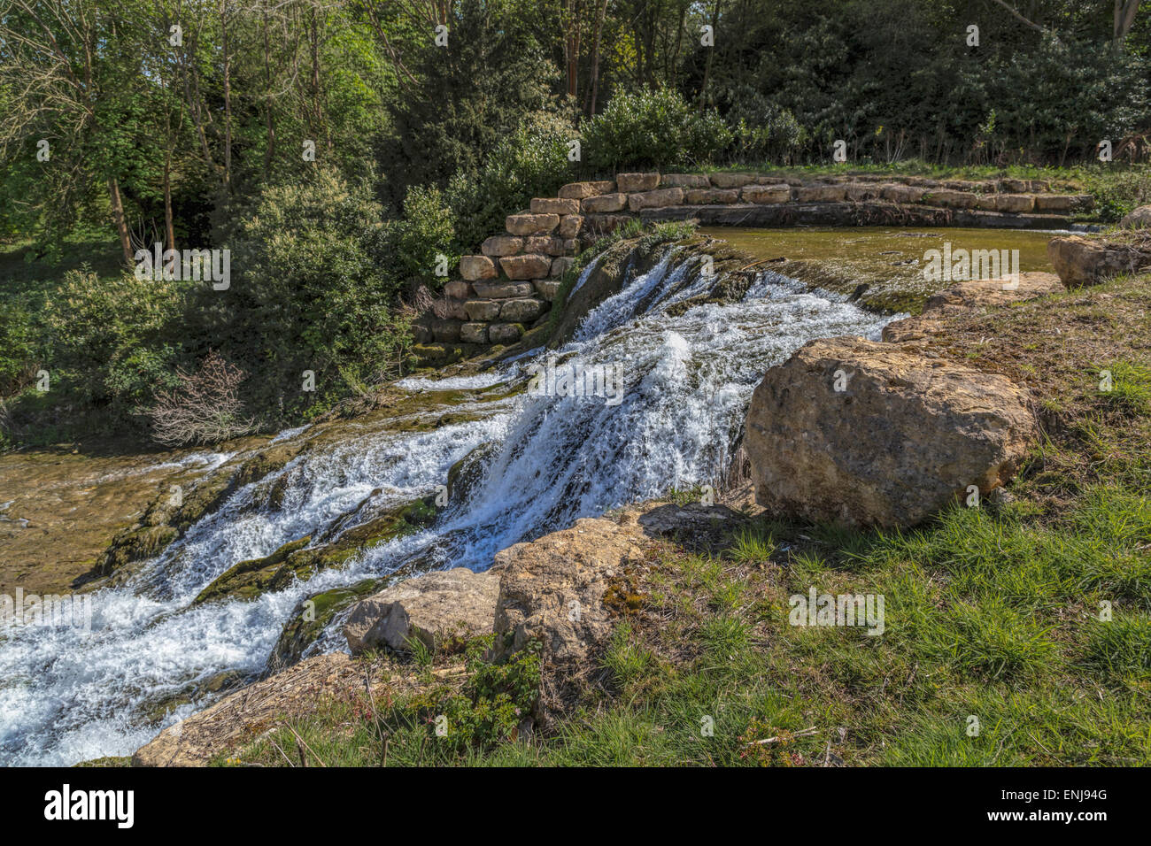 Cascata e diga, realizzata dal rinomato Georgian architetto del paesaggio Lancelot 'capacità' Brown nel 1760 nel Parco di Blenheim. Foto Stock