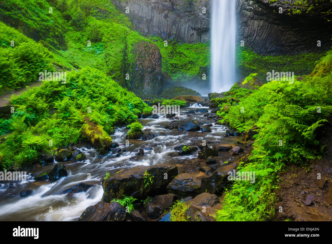 Latourell Falls, a Guy W. Talbot parco statale, in Columbia River Gorge, Oregon. Foto Stock