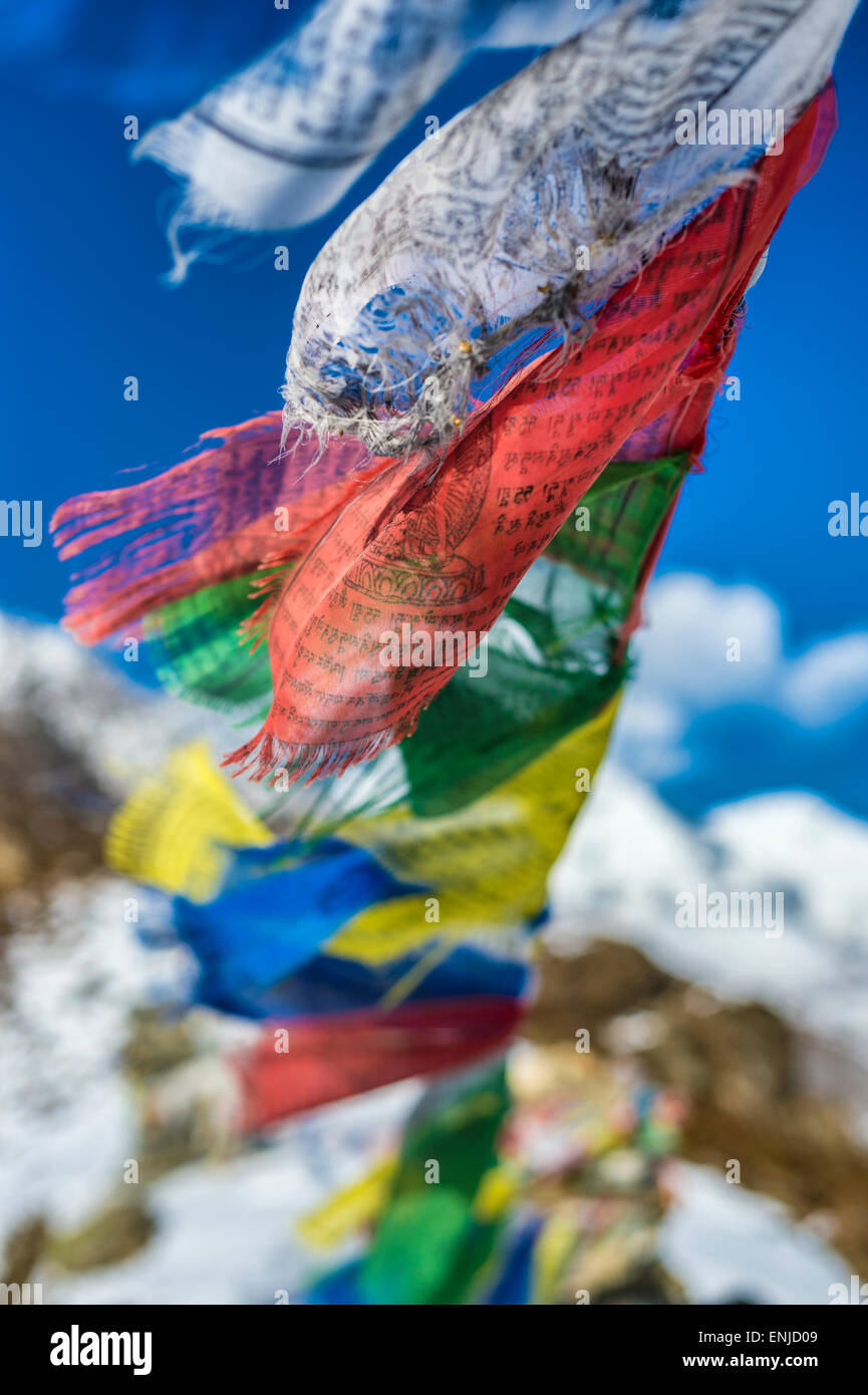 Bandiere Di Preghiera Tibetane Qualità Premium 6,5 Metri - Foto 2