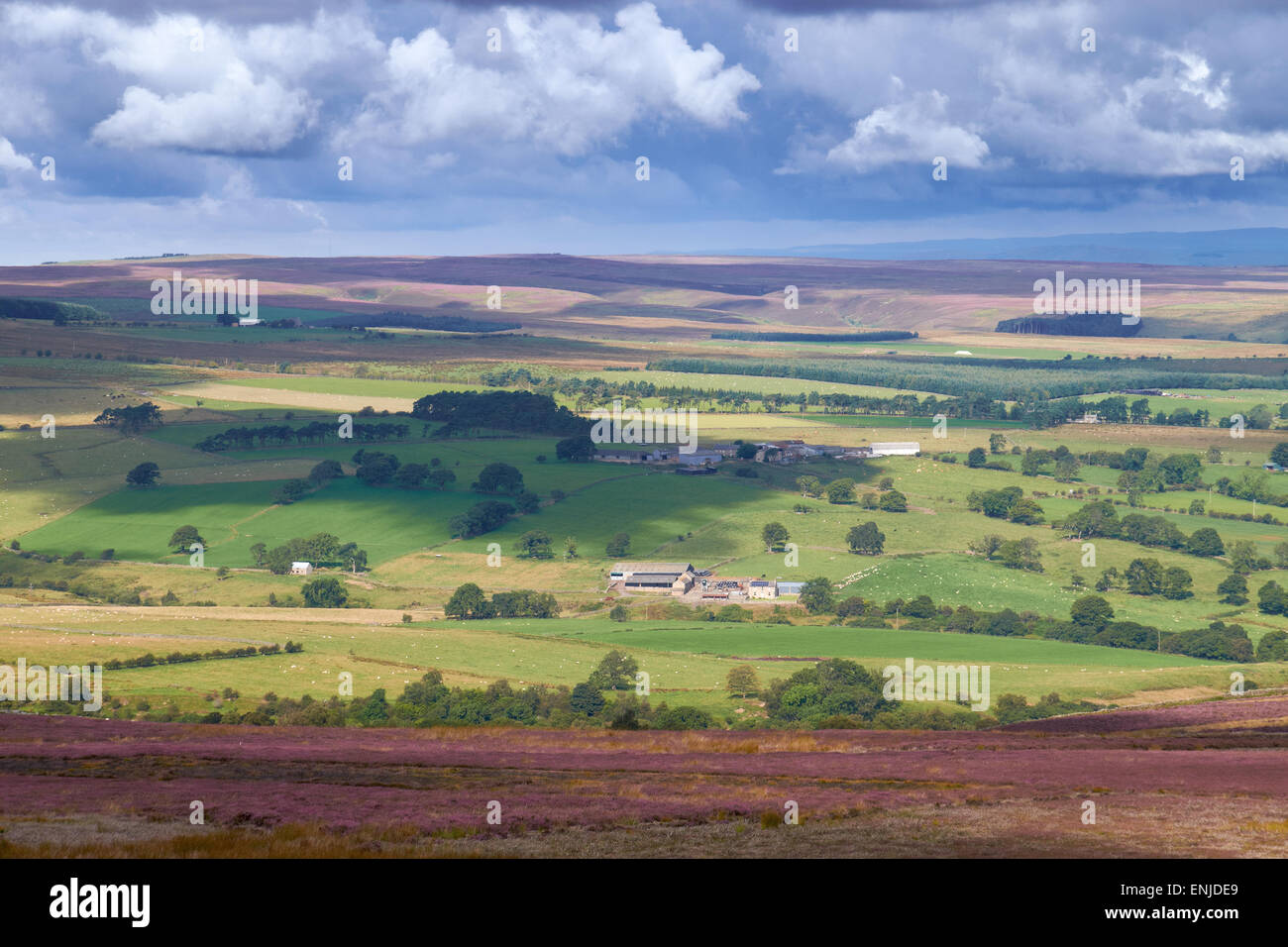 Vista della campagna inglese in estate, Blanchland,Northumberland, Inghilterra del Nord Est. Foto Stock