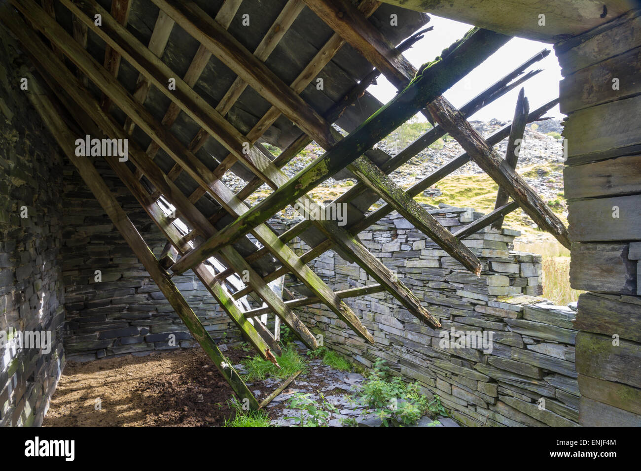 Abbandonata la costruzione di pietra, il collasso del tetto, Snowdonia, Wales, Regno Unito Foto Stock