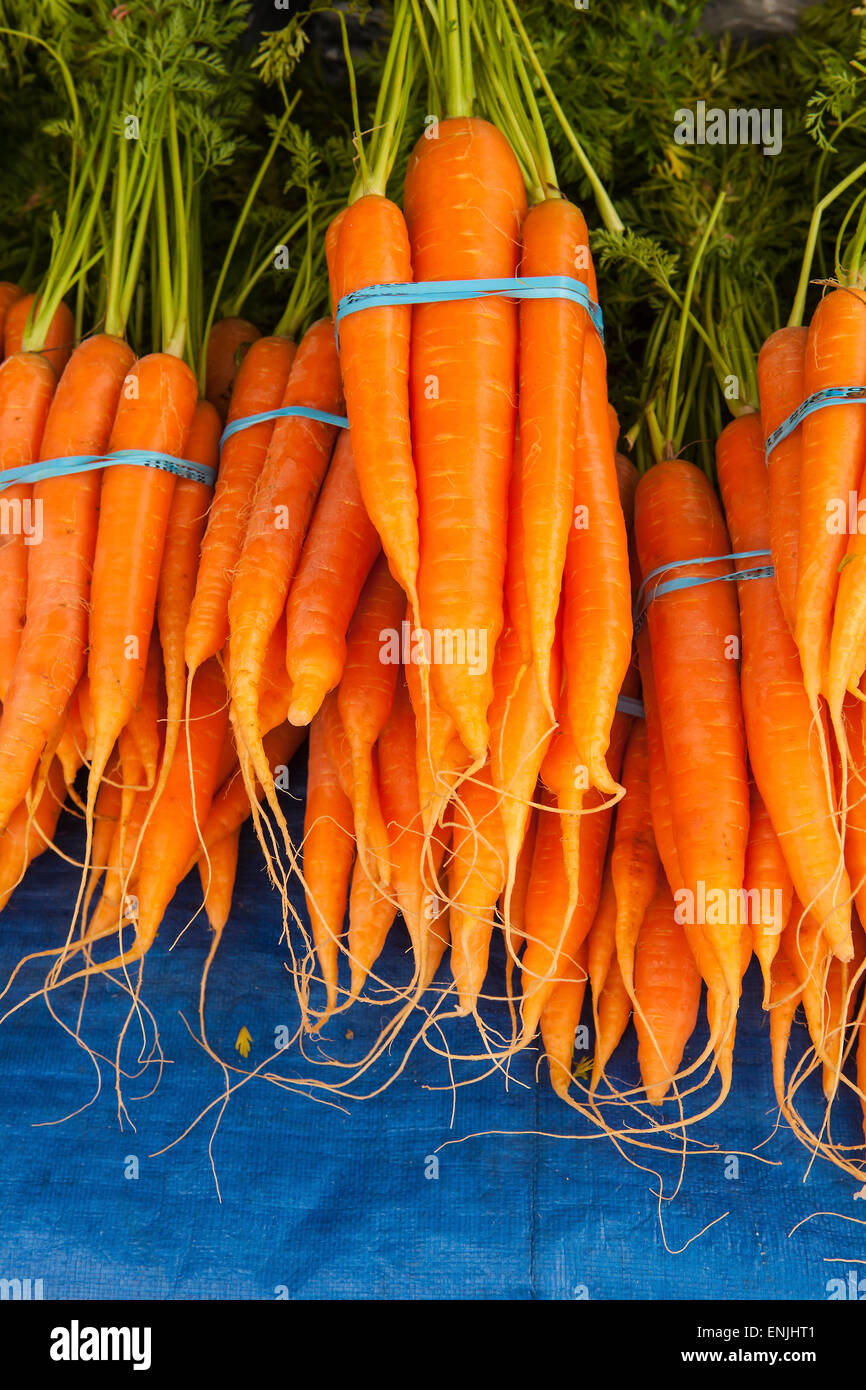 Carote organico per la vendita al mercato degli agricoltori, Santa Barbara, California, Stati Uniti d'America Foto Stock