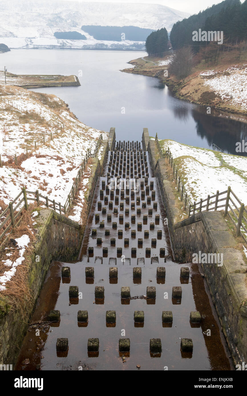 Colomba pietra nel Parco Nazionale di Peak District Foto Stock
