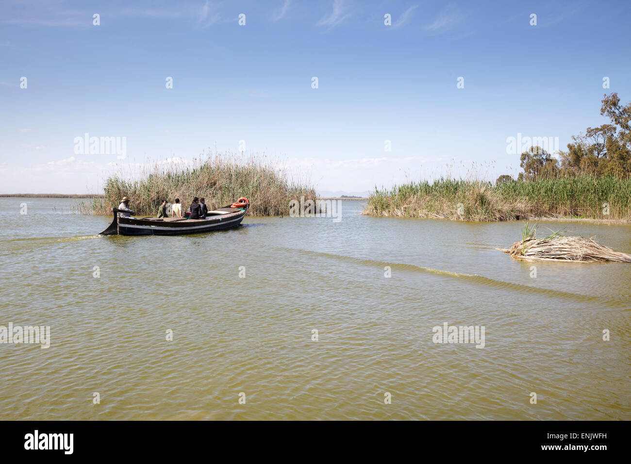 Gita in barca sulla Laguna di Albufera parco naturale, Valencia, Spagna Foto Stock