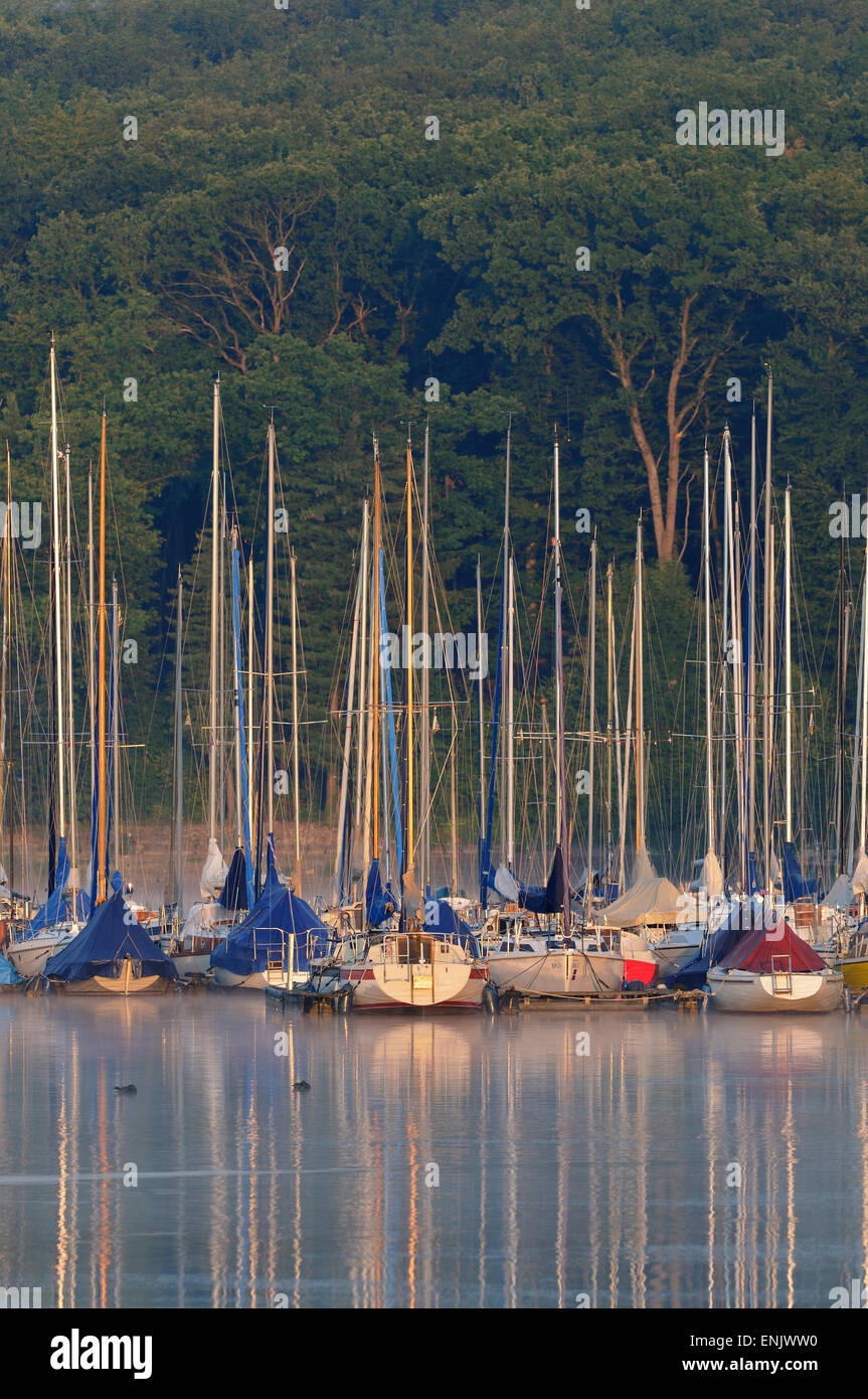 Barche a vela ormeggiata, nella luce del mattino, Möhne Reservoir, Renania settentrionale-Vestfalia, Germania Foto Stock