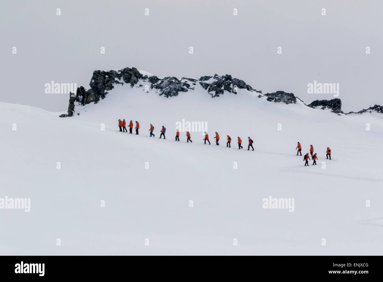 Lindblad Expeditions ospiti dal National Geographic Explorer escursioni a Porto Orne, Antartide, regioni polari Foto Stock