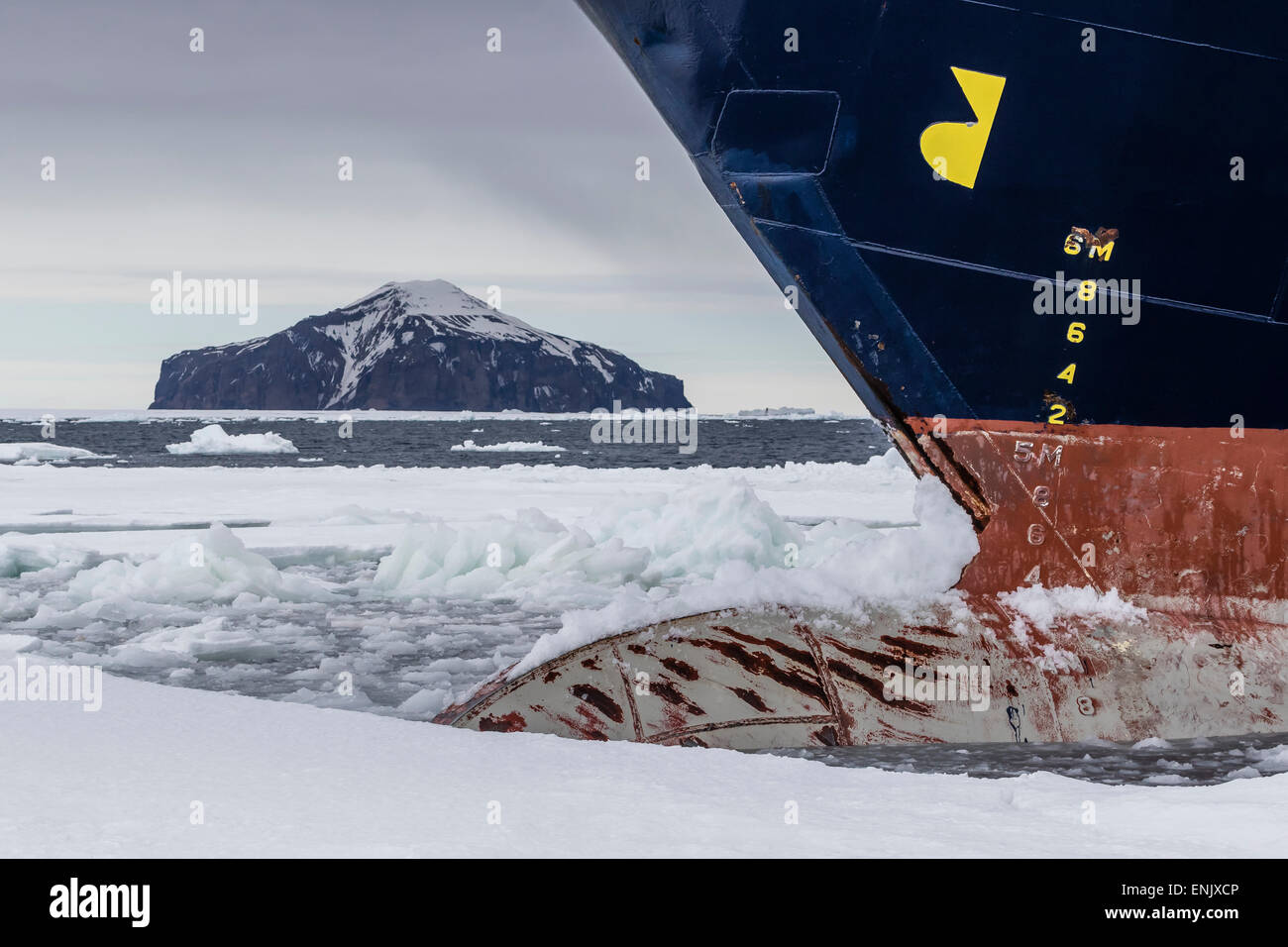La Lindblad Expeditions nave National Geographic Explorer in Shorefast ghiaccio antartico, suono, Antartide, regioni polari Foto Stock