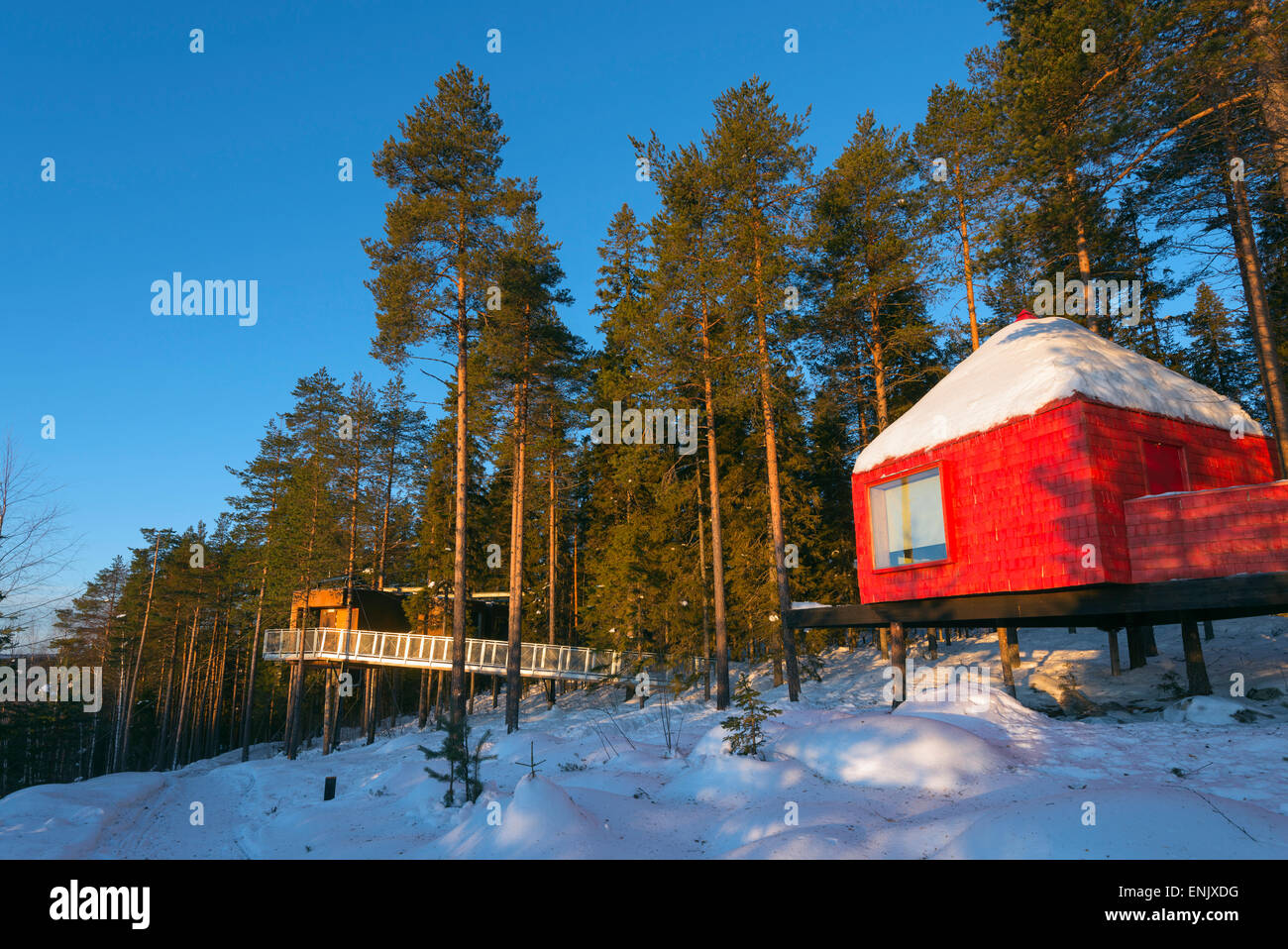 Il cono blu room, il Tree Hotel, Lapponia, a nord del circolo polare artico, Svezia, Scandinavia, Europa Foto Stock