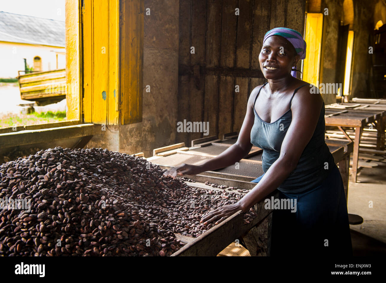 La donna la raccolta di semi di cacao, piantagione di cacao Roca Aguaize, East coast di Sao Tome, Sao Tome e Principe, Oceano Atlantico Foto Stock