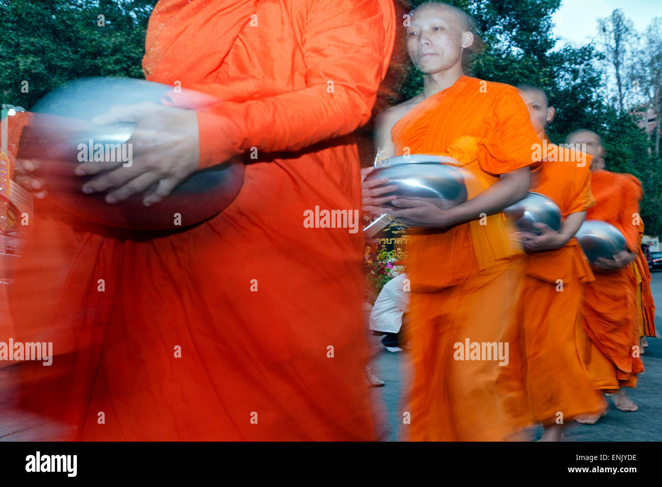 I monaci di accattonaggio alms all alba del Doi Suthep montagna, Chiang Mai, Thailandia, Sud-est asiatico, in Asia Foto Stock