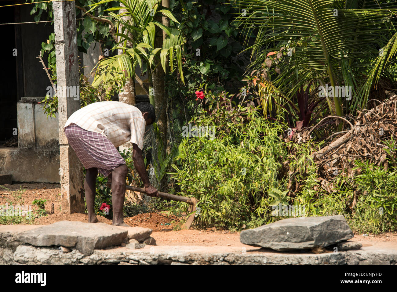 Un abitante locale tendendo il suo giardino con una vanga sulle rive delle lagune del Kerala nel sud-ovest dell'India Foto Stock
