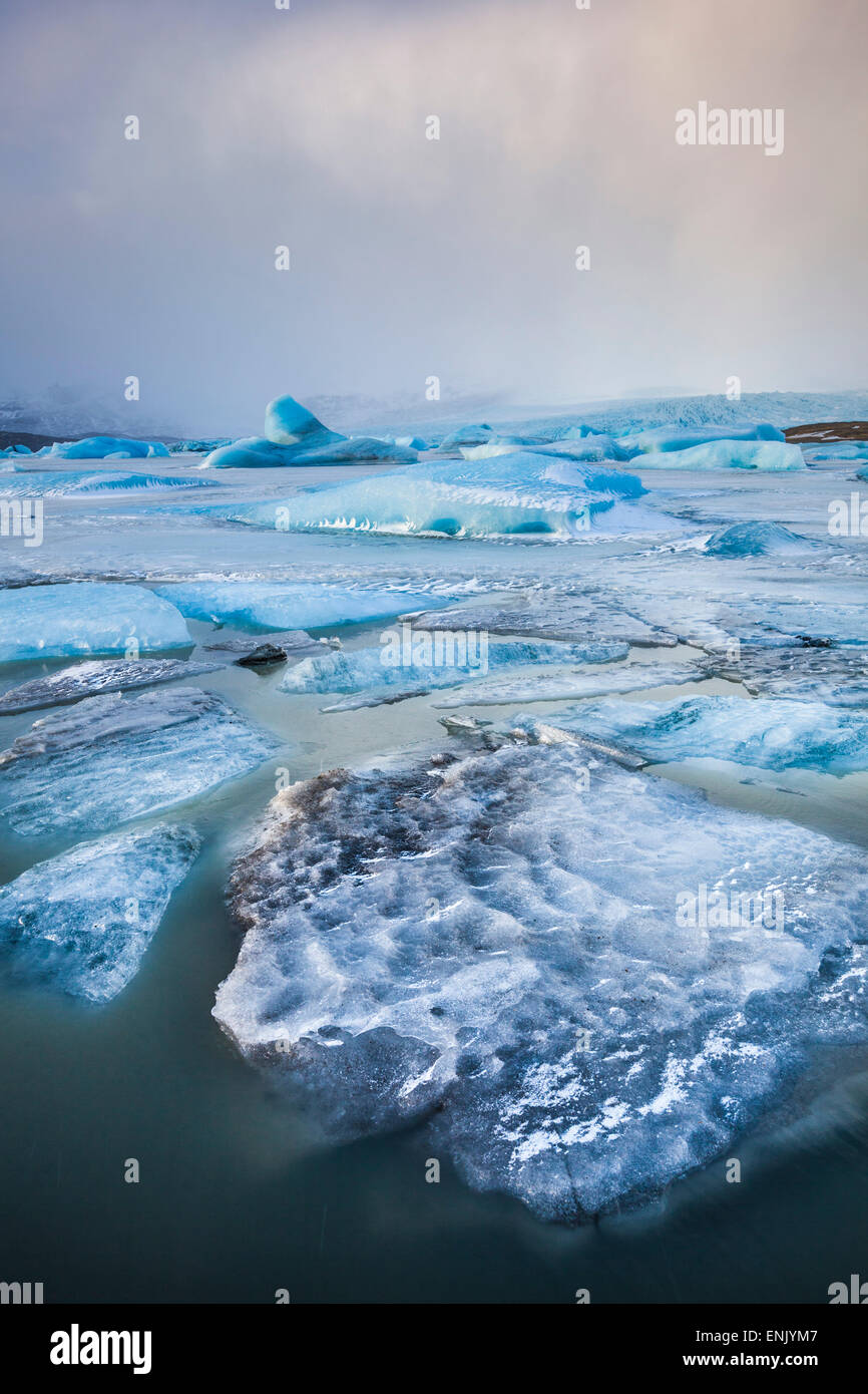 Congelati iceberg bloccato in acque congelate del ghiacciaio Fjallsarlon laguna, Sud Est Islanda, Islanda, regioni polari Foto Stock