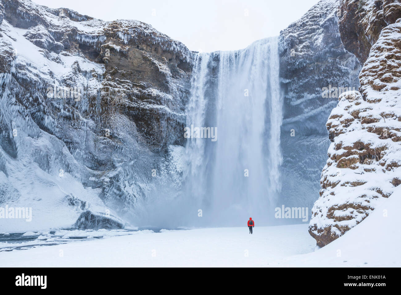 Una persona in giacca rossa a piedi nella neve verso la cascata Skogafoss in inverno, Skogar, Sud Islanda Islanda Foto Stock