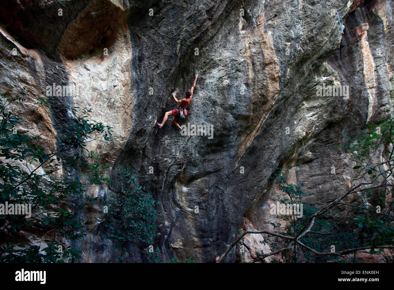 Un scalatore scaling scogliere calcaree nella giungla di Serra do Cipo, Minas Gerais, Brasile, Sud America Foto Stock