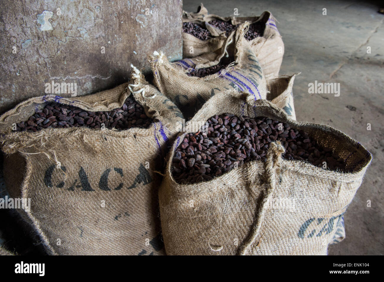 Sacchi pieni di semi di cacao, piantagione di cacao Roca Aguaize, East coast di Sao Tome, Sao Tome e Principe, Oceano Atlantico, Africa Foto Stock