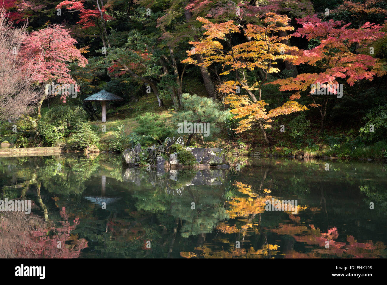Autunno colori riflessi nel laghetto Hisagoike, giardino Kenrokuen, Kanazawa, Ishikawa Prefettura, Central Honshu, Giappone, Asia Foto Stock