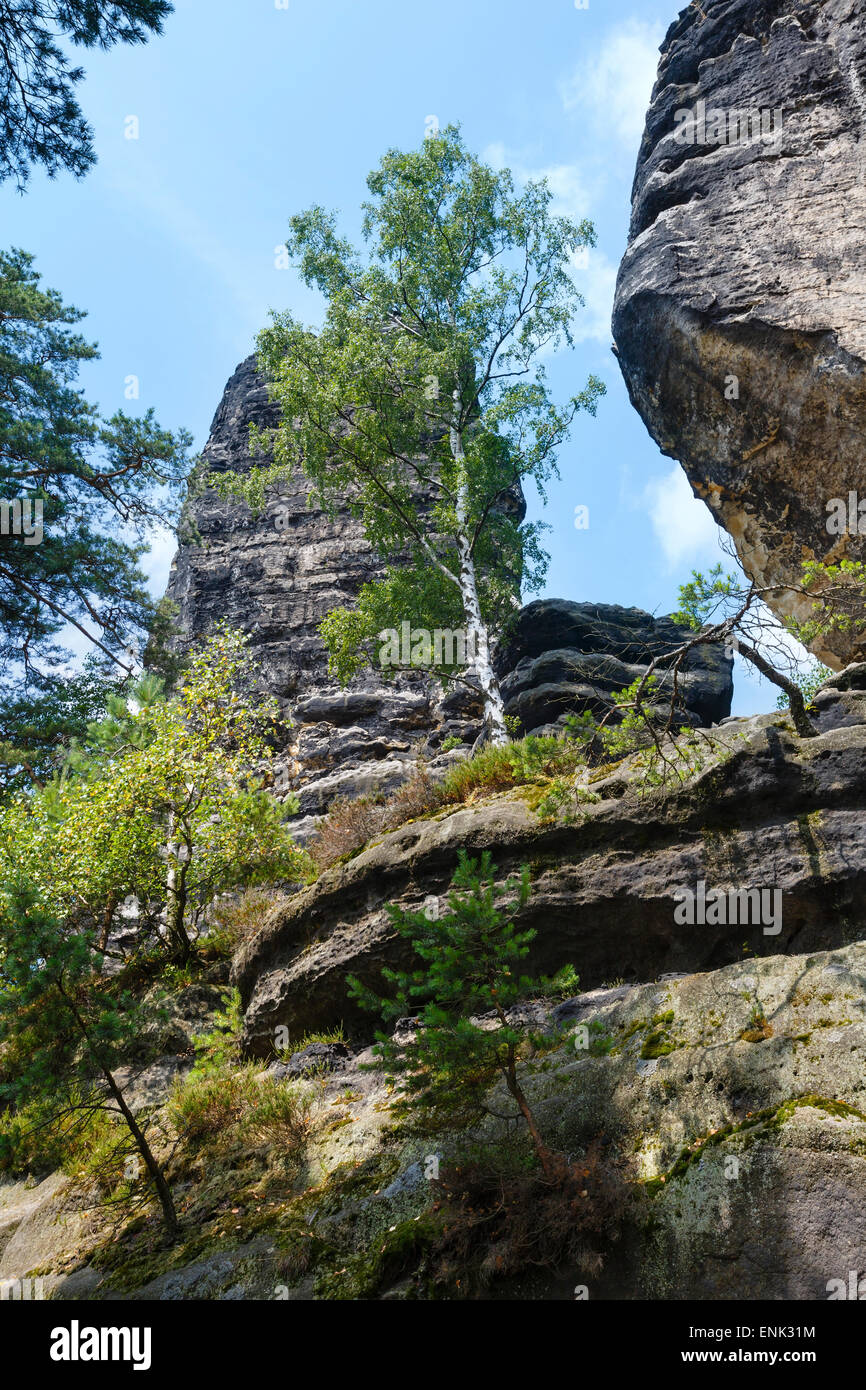 L'enorme roccia torri in narodni park Ceske Svycarsko (Repubblica Ceca). Foto Stock