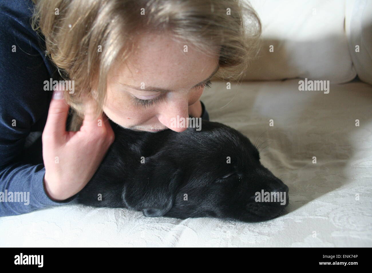Il Labrador cucciolo baciato durante il sonno. Foto Stock