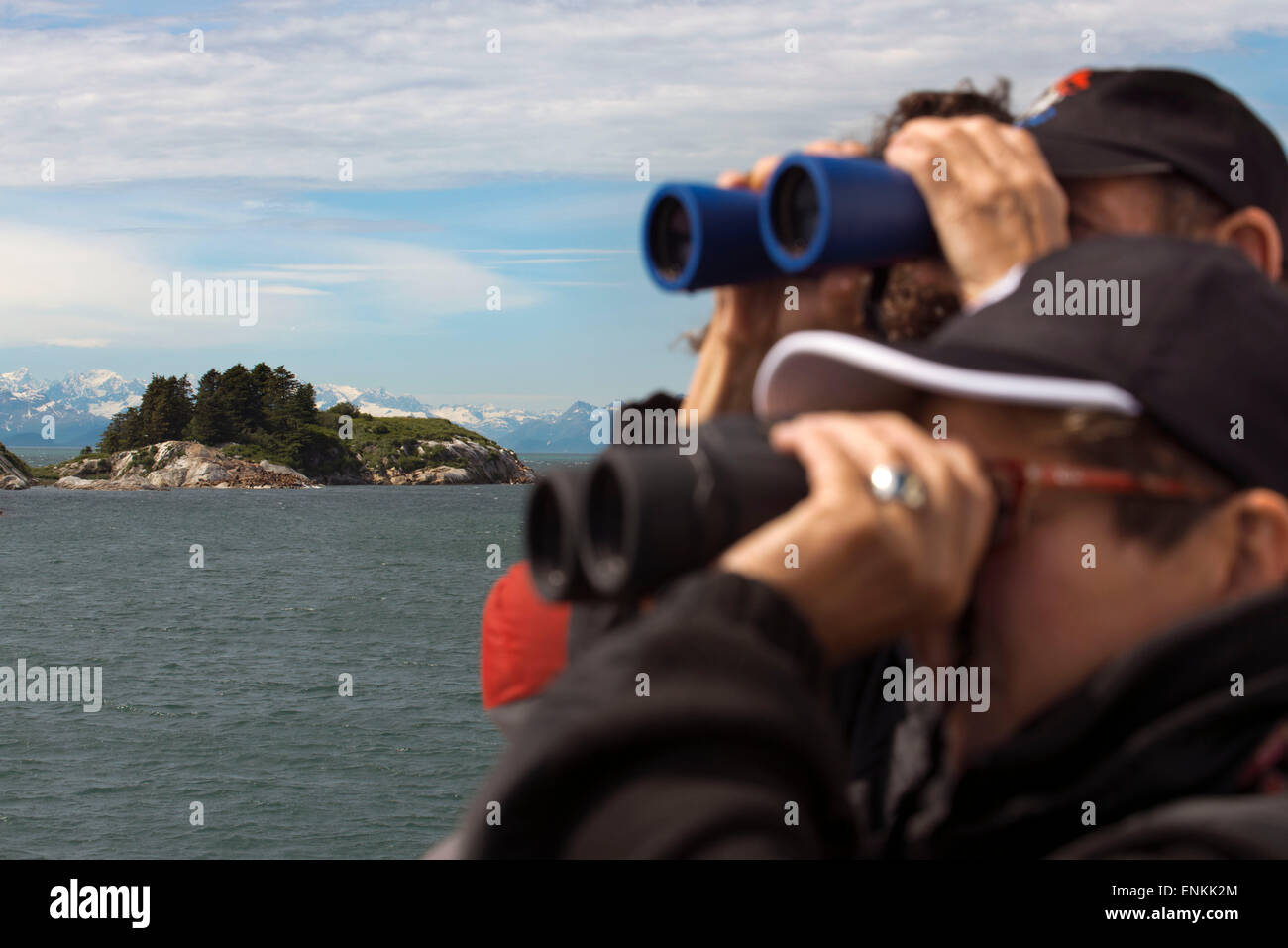 I passeggeri con il binocolo su una nave da crociera Safari adopera cercando una colonia di Steller leoni di mare (Eumetopias jubatus) sul sud M Foto Stock