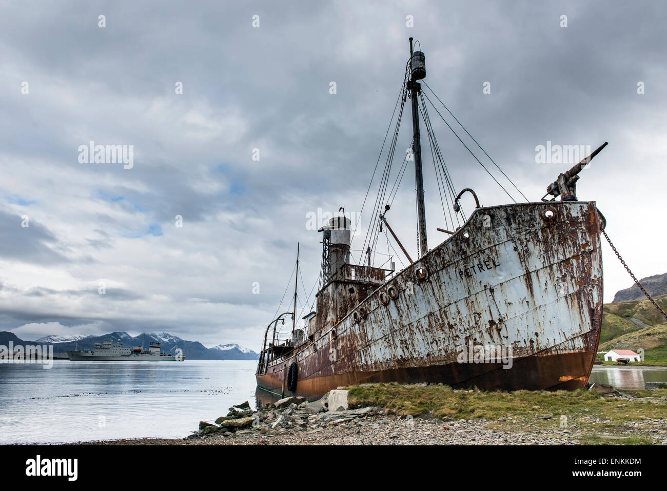 Abbandono nave arrugginito a Grytviken Georgia del Sud Foto Stock