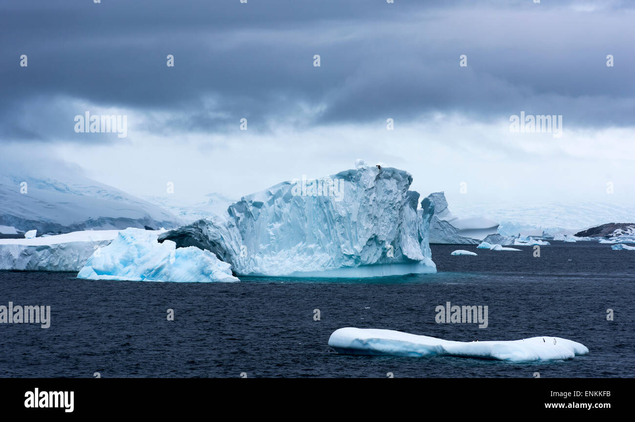 Blu ghiaccio galleggiante moody sky e pinguini sul ghiaccio punto portale Penisola Antartica Antartide Foto Stock