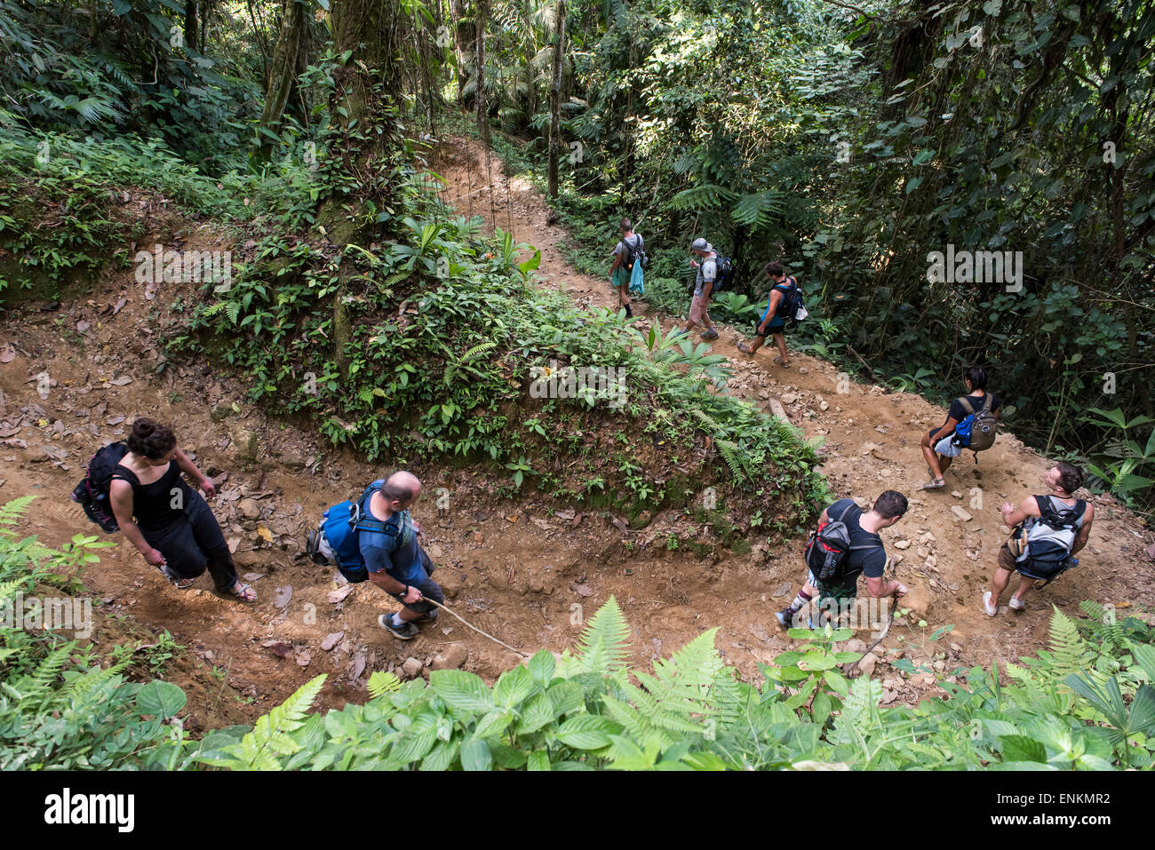 I turisti escursioni a piedi attraverso la città perduta (Ciudad Perdida) trek Sierra Nevada di Santa Marta Colombia Foto Stock