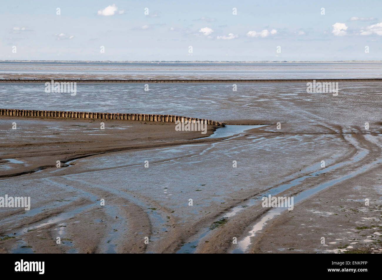 Watt, Wattenmeer, Nordseekueste, Ostfriesland, Niedersachsen, Deutschland | Costa del Mare del Nord, Mare di Wadden, Ostfriesland, Sa inferiore Foto Stock