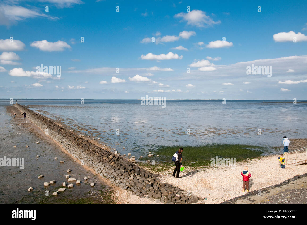 Watt, Wattenmeer, Nordseekueste, Ostfriesland, Niedersachsen, Deutschland | Costa del Mare del Nord, Mare di Wadden, Ostfriesland, Sa inferiore Foto Stock